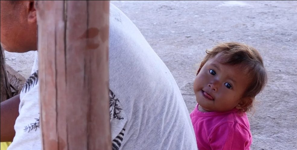 <h1>Terra Mãe Mãe Terra</h1><strong>Brasil, 15 MIN</strong>